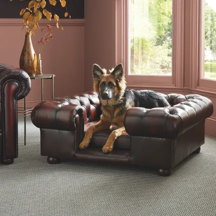 Lincoln Dog Bed