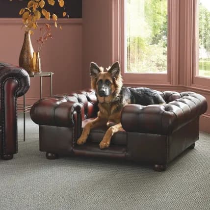 Lincoln Large Dog Bed - Dog Beds from Sofas by Saxon UK