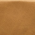 Old English Buckskin